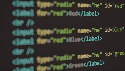 pexels photo 16023919