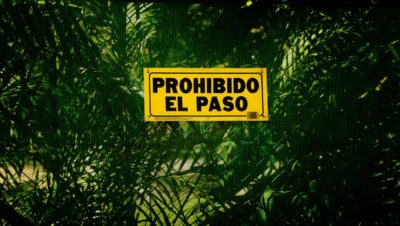 pexels photo 28236577