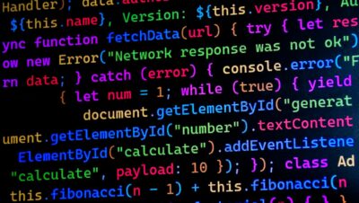 pexels photo 31343630